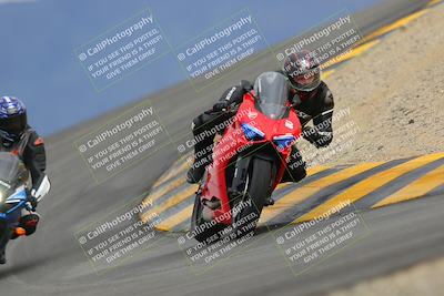 media/Jan-14-2023-SoCal Trackdays (Sat) [[497694156f]]/Turn 12 (120pm)/